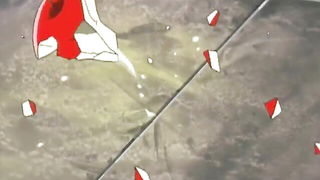 Pigeon Blood trans oni bondage BDSM sex video